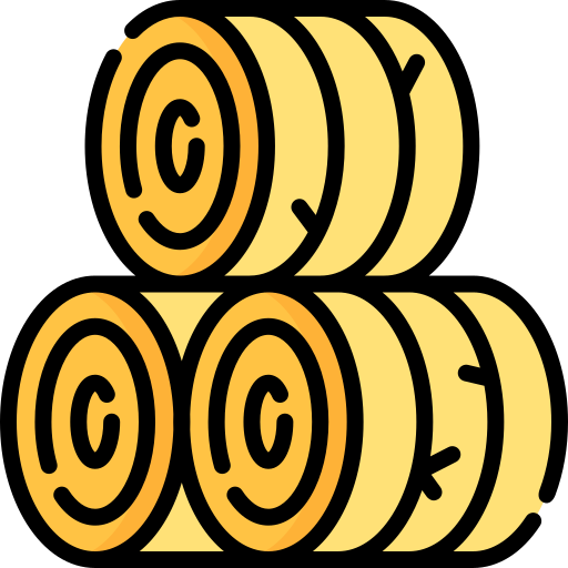 Lesson Image