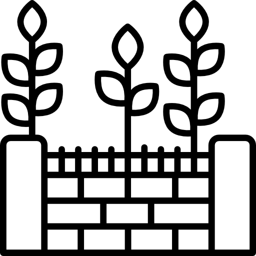 Lesson Image