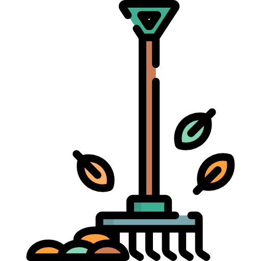 Lesson Image